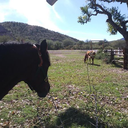 Rancho Santa Cruz Bed and Breakfast Tubac Exterior foto